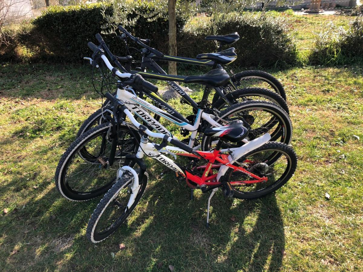 Apartment Madis & Free Bikes Pula Exterior photo